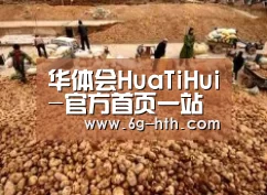 种植基地二