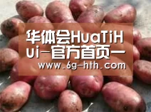 产品展示标题5