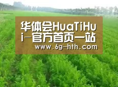 种植基地四