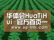 种植基地六