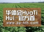 种植基地五