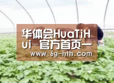 种植基地三